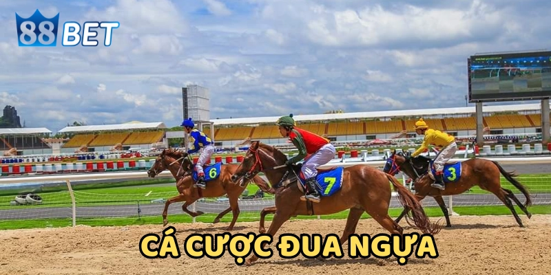 Cá cược đua ngựa có thể làm giàu không?